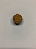 Sand Dollar Fossil - 3