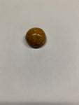 Sand Dollar Fossil - 4