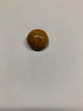 Sand Dollar Fossil - 4