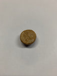 Sand Dollar Fossil - 4