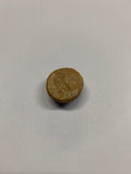 Sand Dollar Fossil - 4