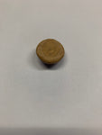 Sand Dollar Fossil - 5