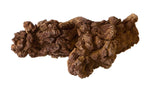 Corpolite (Fossil Poop)