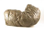 Corpolite (Dinosaur Fossil Poop)