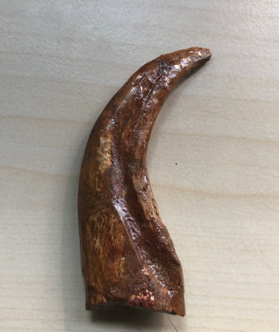 Killing Raptor Claw