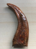Killing Raptor Claw