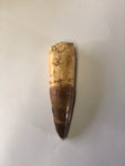 Spinasaurus tooth - Large 2