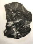 Black Plant Fossil - Medium