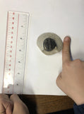 Trilobite - Small