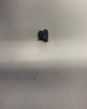 Ankylosaurus tooth - Small