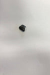 Ankylosaurus tooth - Small