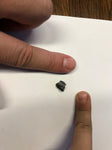 Ankylosaurus tooth - Small