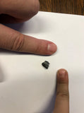 Ankylosaurus tooth - Small
