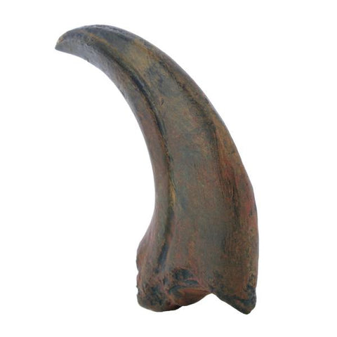 Raptor Claw