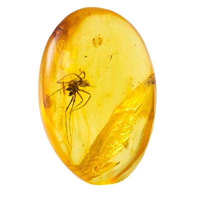 Small Fossil Fly